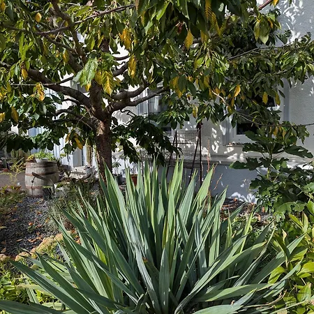 Ferienwohnung Lichtenstein Apartamento