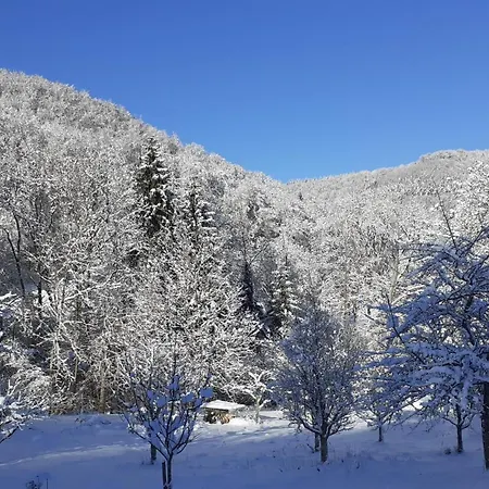 Ferienwohnung Lichtenstein *