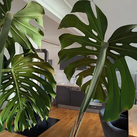 Apartamento Ferienwohnung Lichtenstein *